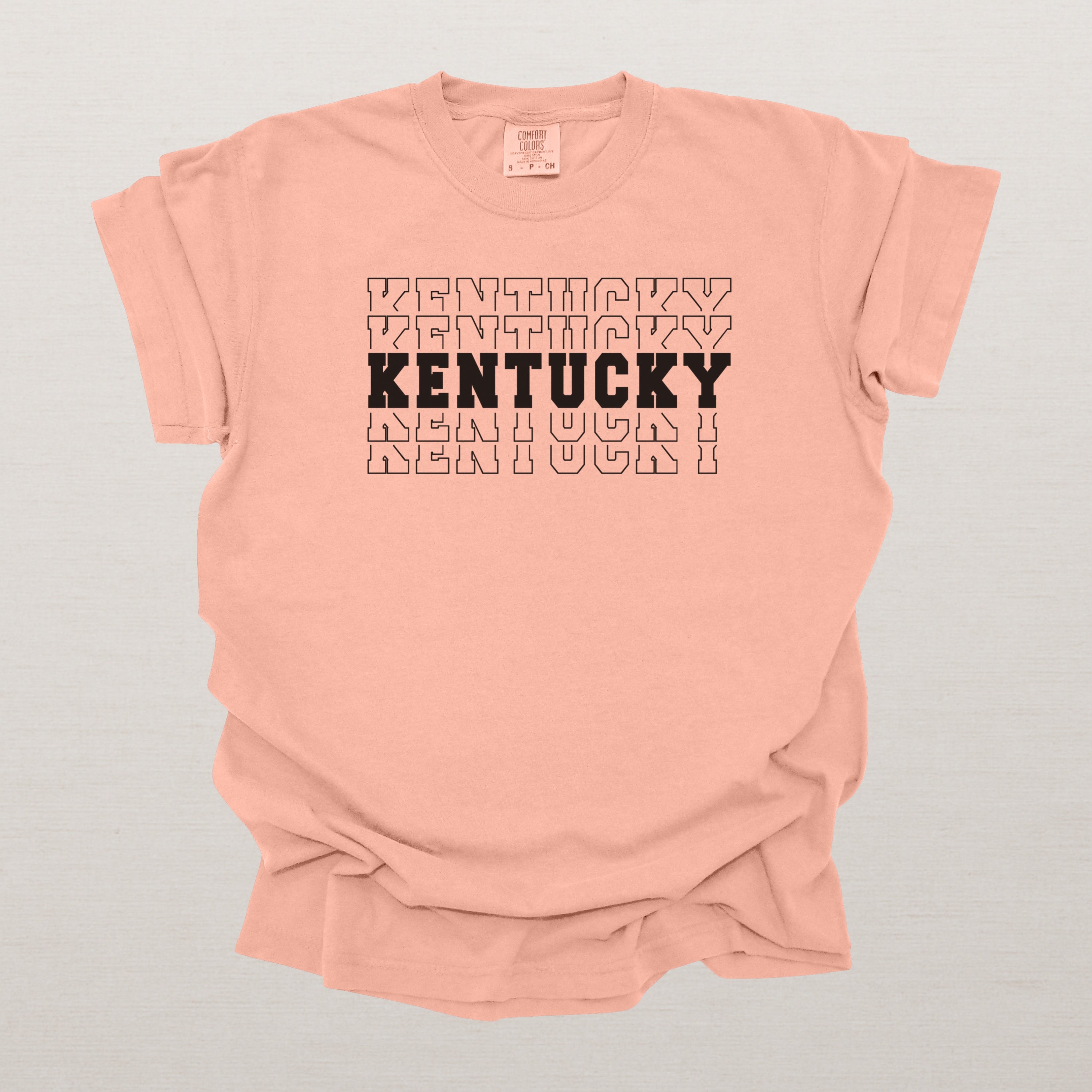 Kentucky Varsity Echo State Shirt | Comfort Colors Black Text