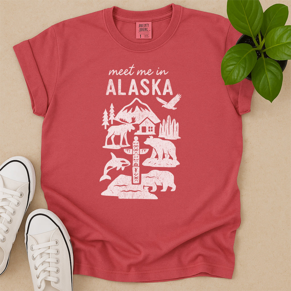 Meet Me In Alaska Distressed Vintage Landmark State Shirt