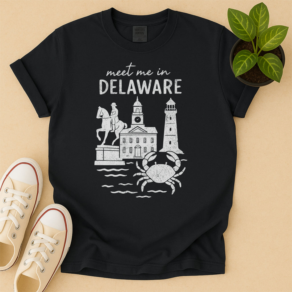 Meet Me In Delaware Distressed Vintage Landmark State Shirt