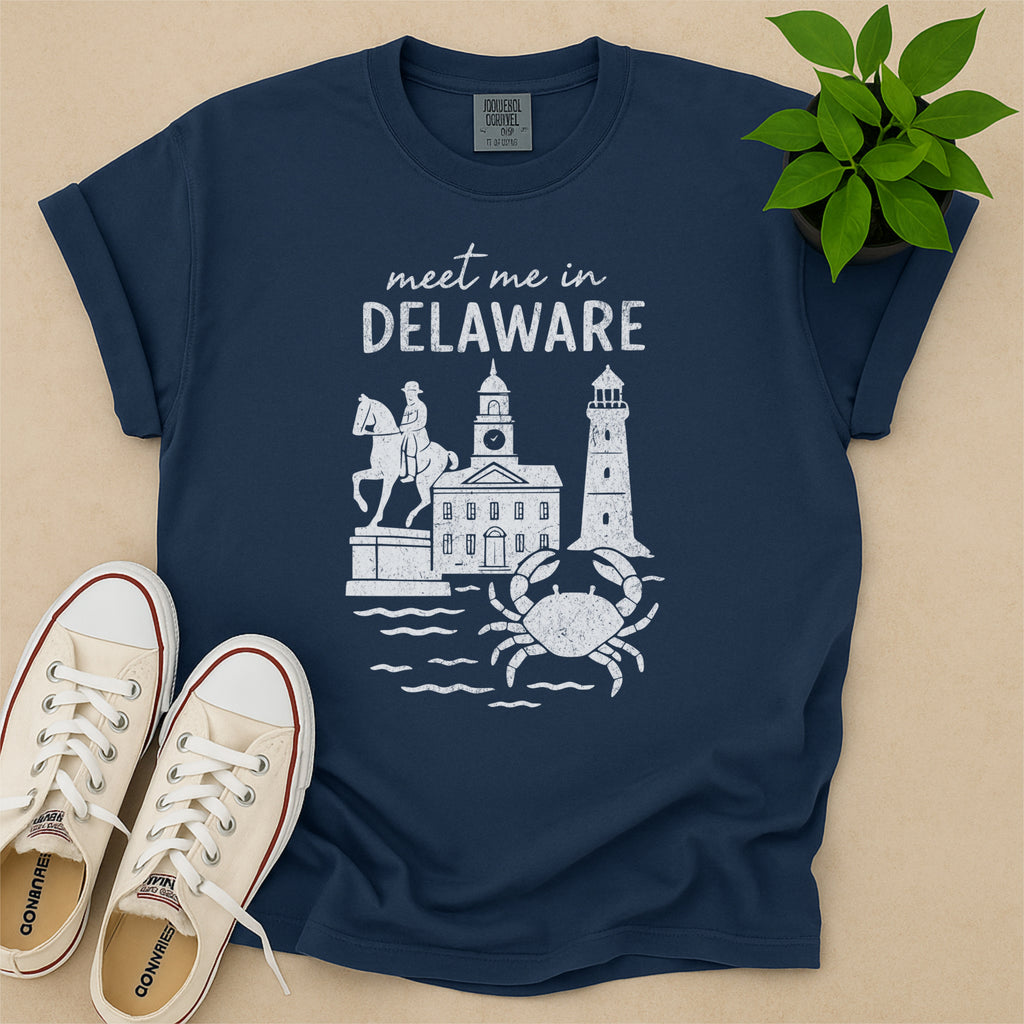 Meet Me In Delaware Distressed Vintage Landmark State Shirt