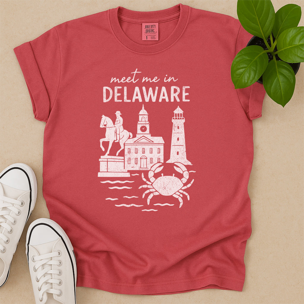 Meet Me In Delaware Distressed Vintage Landmark State Shirt