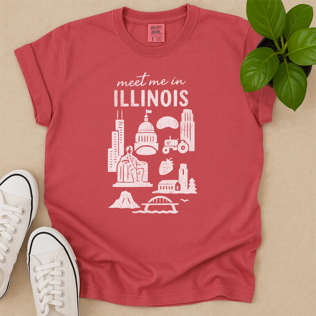 Meet Me In Illinois Distressed Vintage Landmark State Shirt