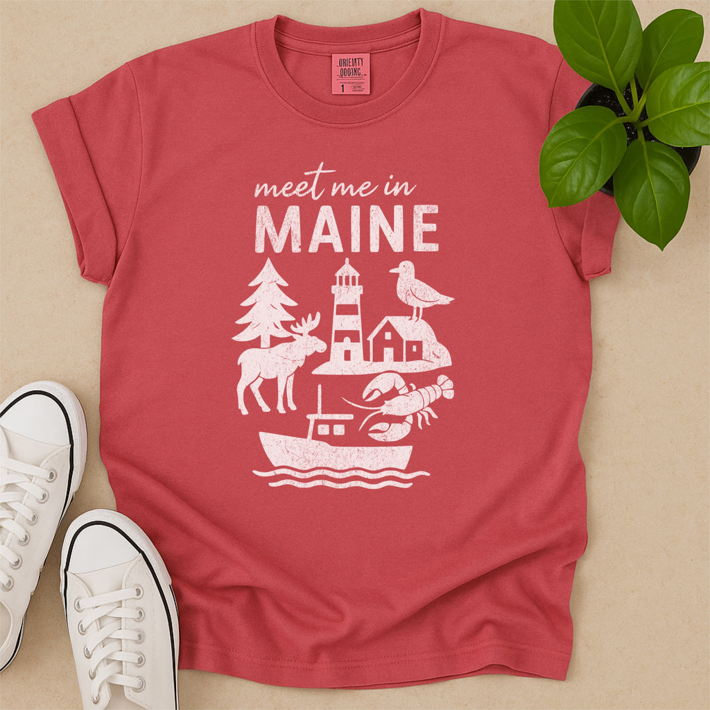 Meet Me In Maine Distressed Vintage Landmark State Shirt
