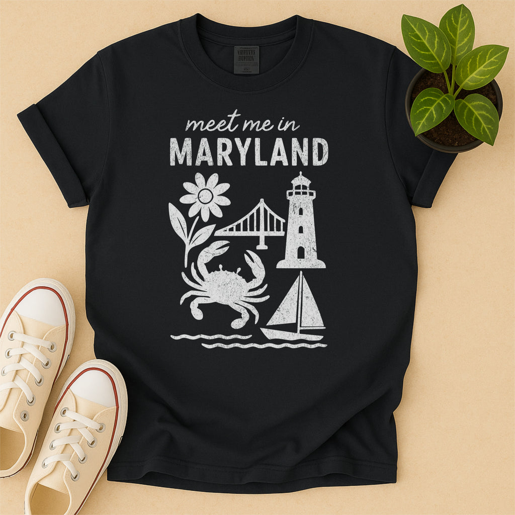 Meet Me In Maryland Distressed Vintage Landmark State Shirt