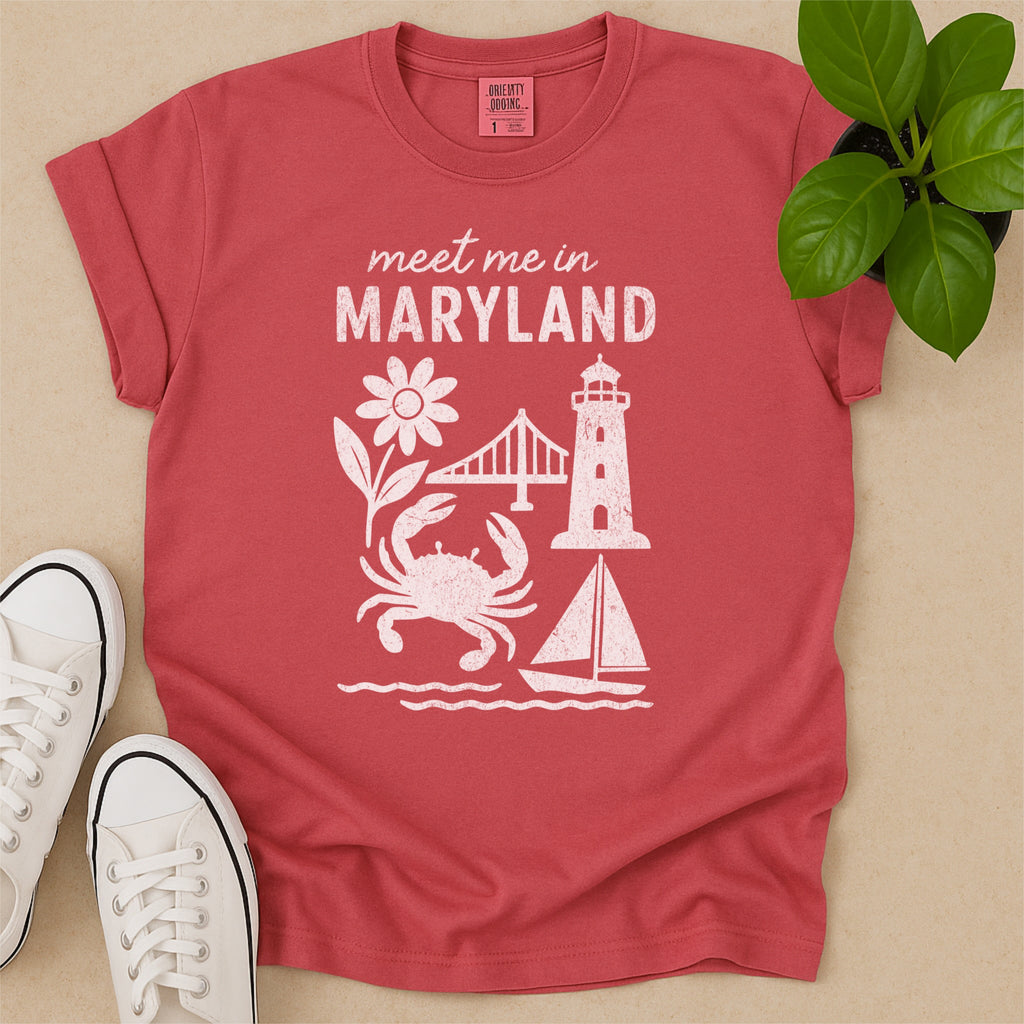 Meet Me In Maryland Distressed Vintage Landmark State Shirt