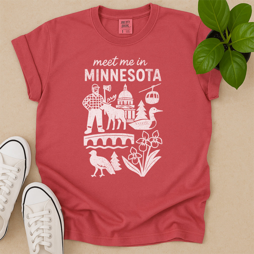 Meet Me In Minnesota Distressed Vintage Landmark State Shirt