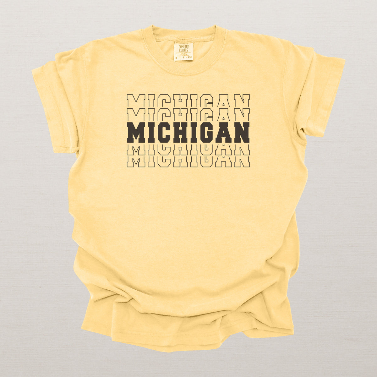 Michigan Varsity Echo State Shirt | Comfort Colors Black Text