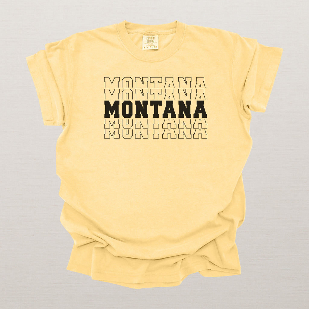 Montana Varsity Echo State Shirt | Comfort Colors Black Text