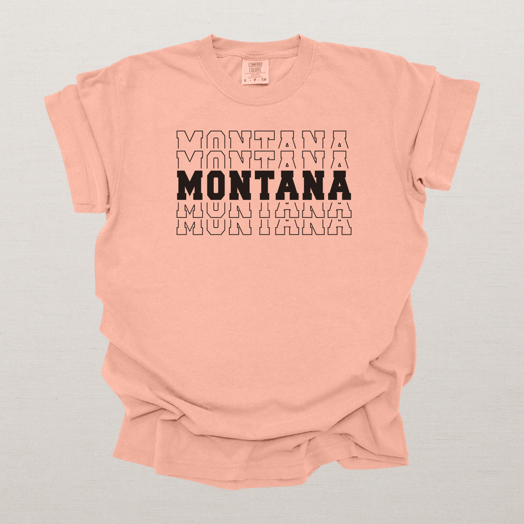 Montana Varsity Echo State Shirt | Comfort Colors Black Text