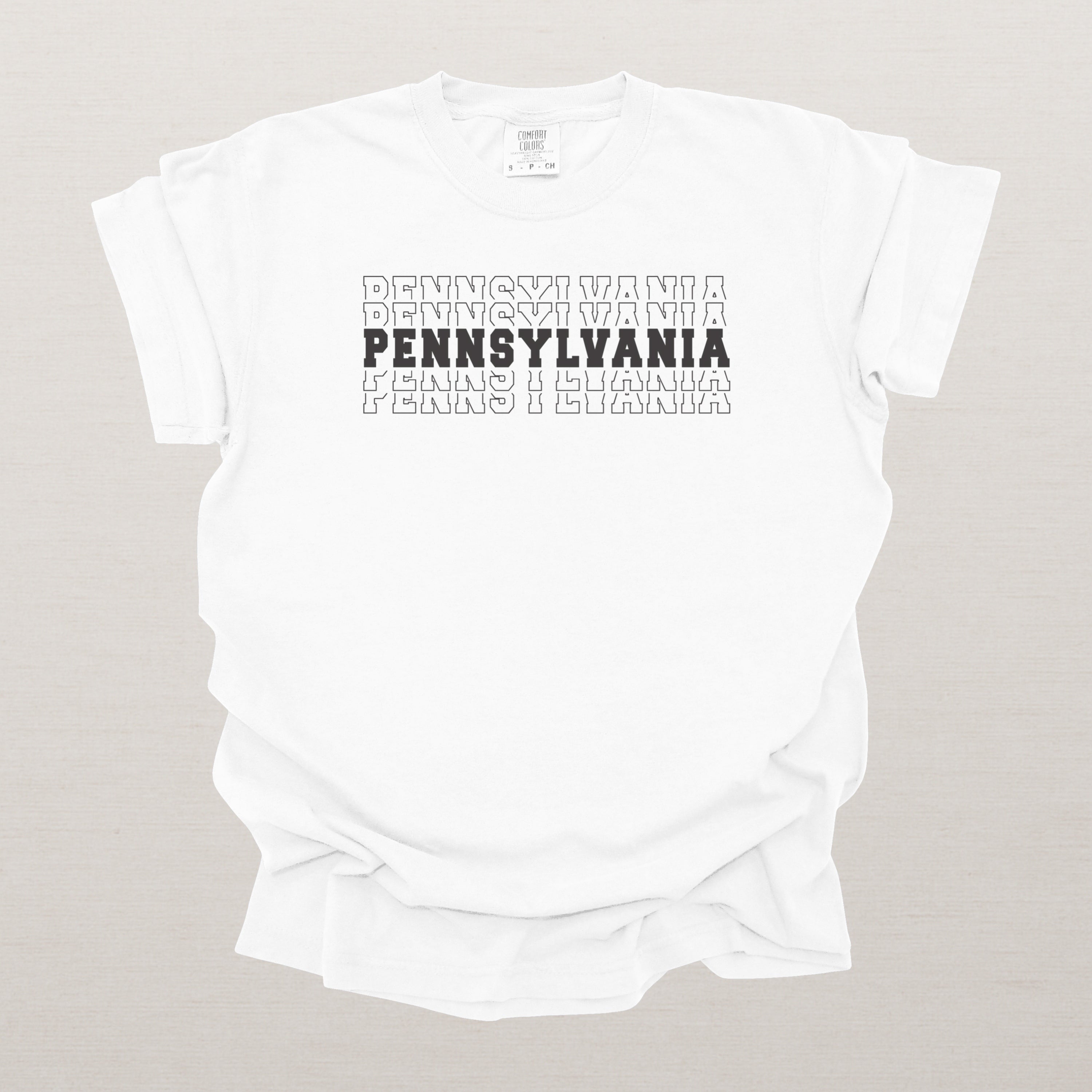 Pennsylvania Varsity Echo State Shirt, Black Text Retro Tee, Pennsylvania AL Collegiate Shirt