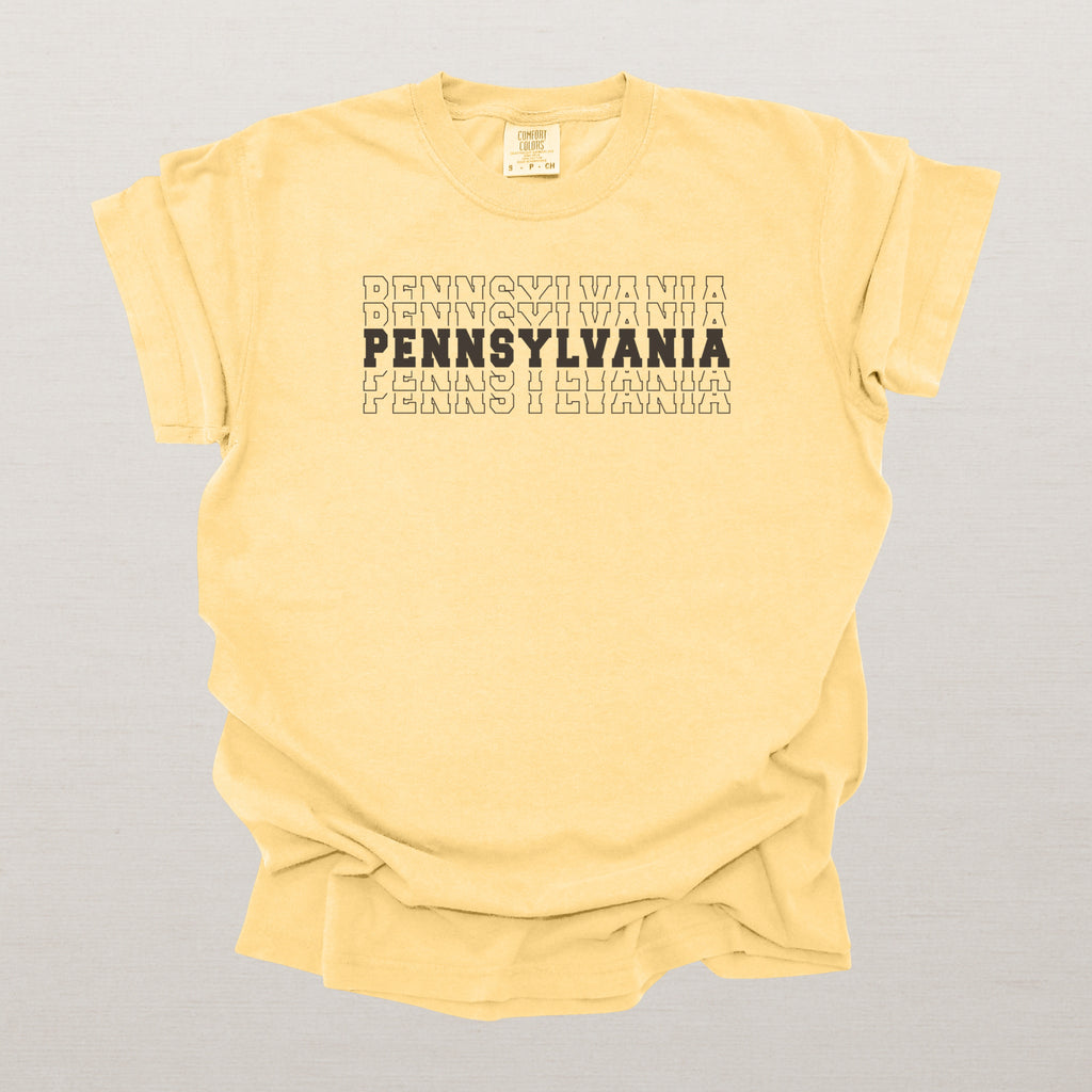 Pennsylvania Varsity Echo State Shirt, Black Text Retro Tee, Pennsylvania AL Collegiate Shirt