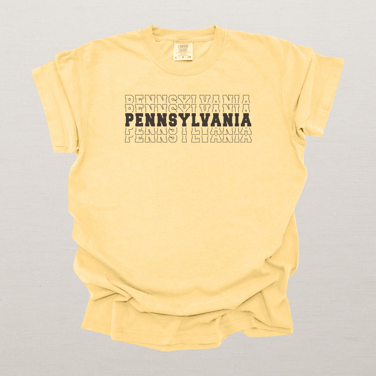 Pennsylvania Varsity Echo State Shirt, Black Text Retro Tee, Pennsylvania AL Collegiate Shirt