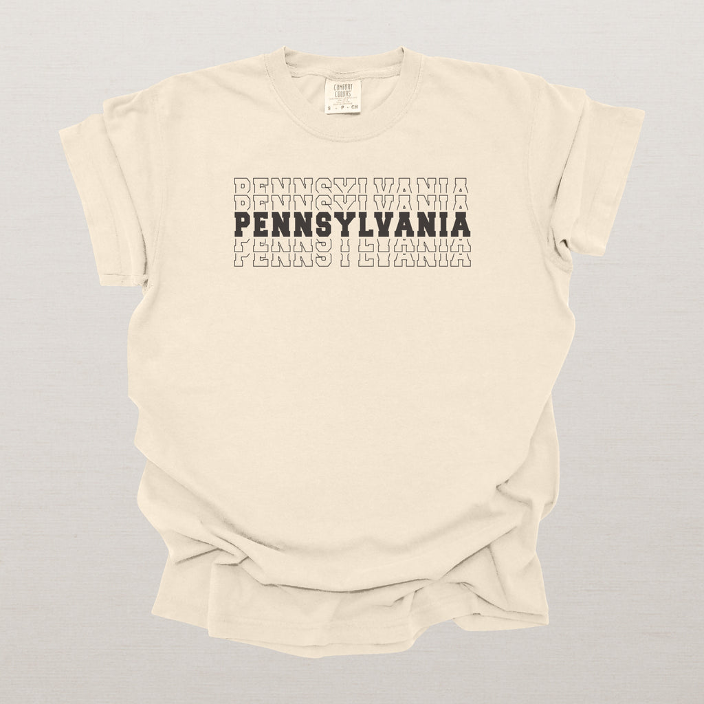 Pennsylvania Varsity Echo State Shirt, Black Text Retro Tee, Pennsylvania AL Collegiate Shirt