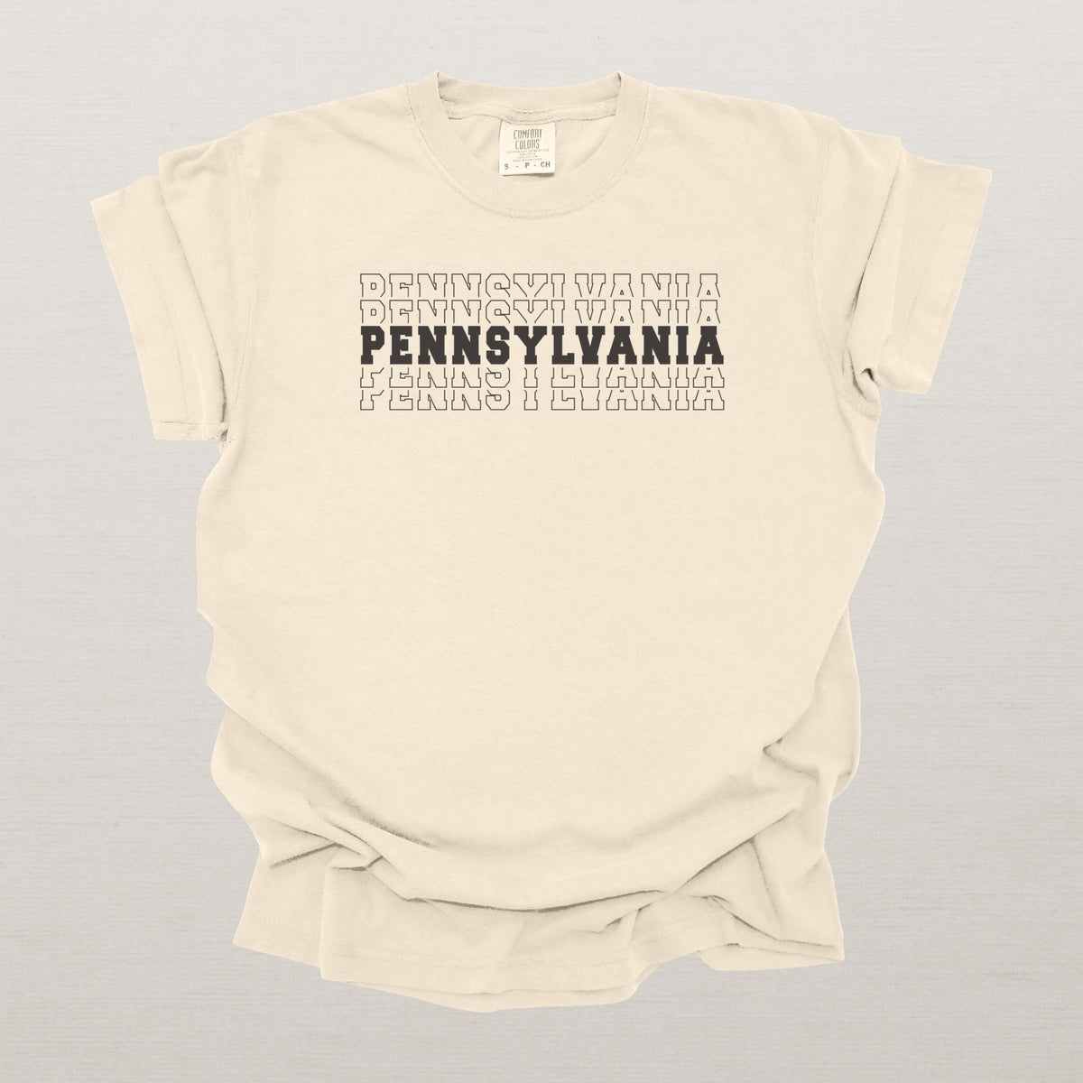 Pennsylvania Varsity Echo State Shirt, Black Text Retro Tee, Pennsylvania AL Collegiate Shirt