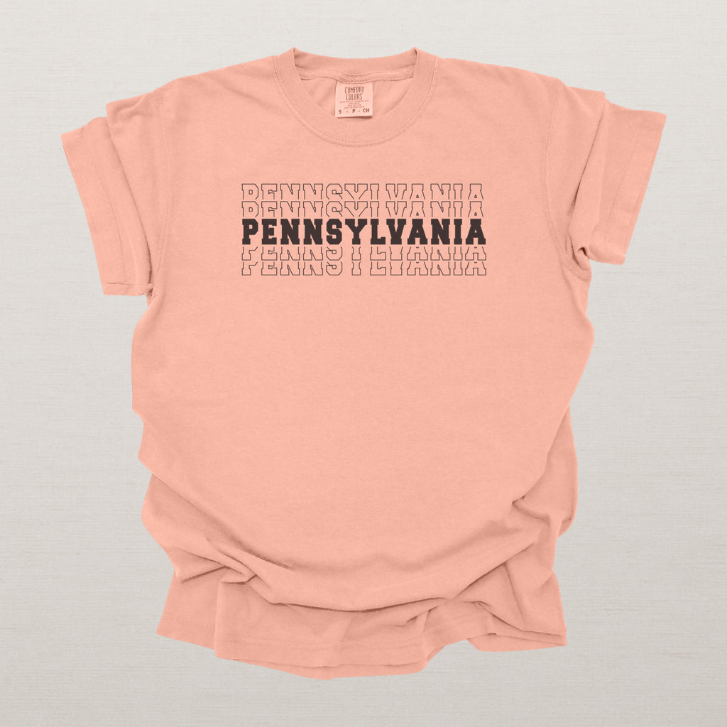 Pennsylvania Varsity Echo State Shirt, Black Text Retro Tee, Pennsylvania AL Collegiate Shirt