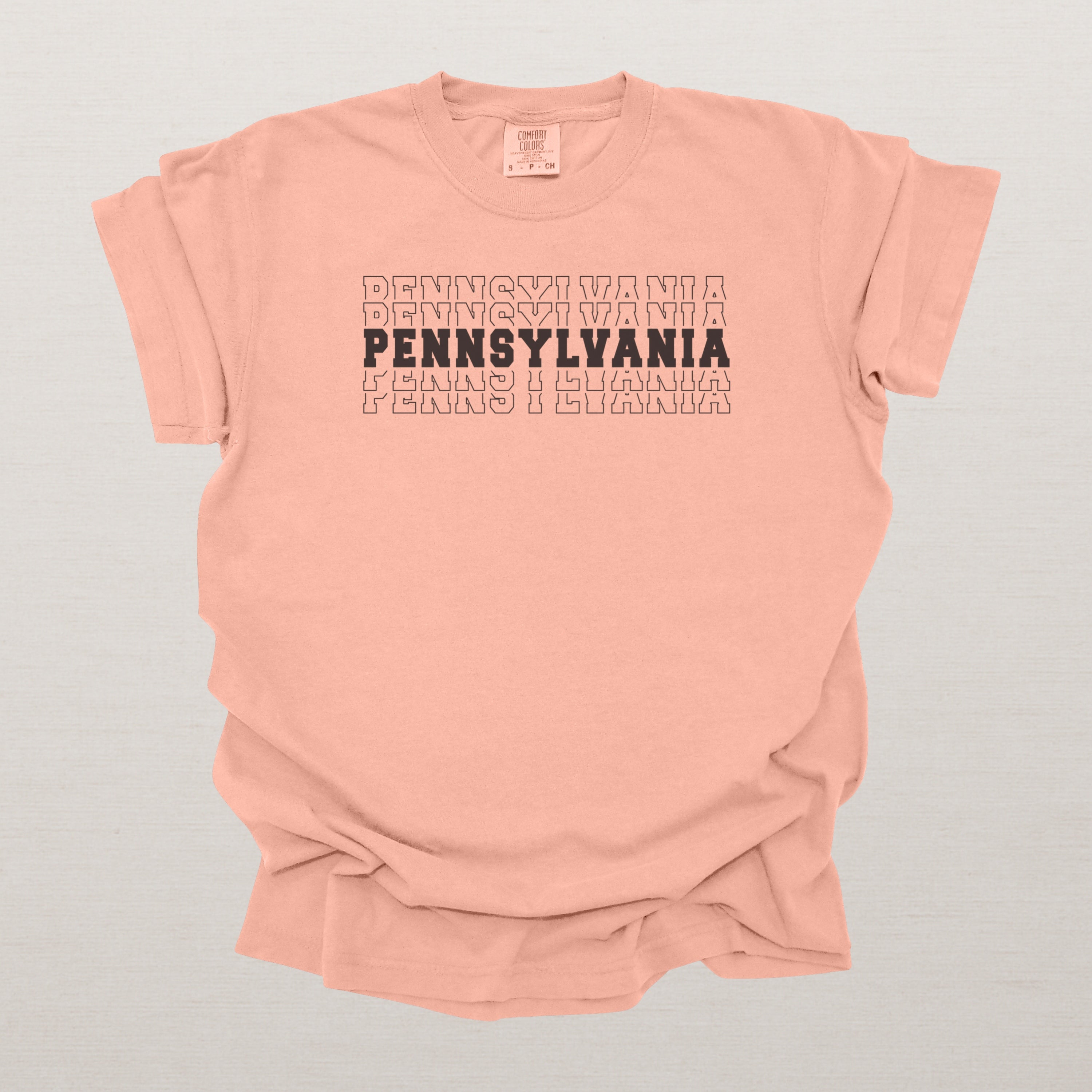 Pennsylvania Varsity Echo State Shirt, Black Text Retro Tee, Pennsylvania AL Collegiate Shirt