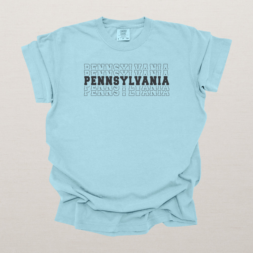 Pennsylvania Varsity Echo State Shirt, Black Text Retro Tee, Pennsylvania AL Collegiate Shirt