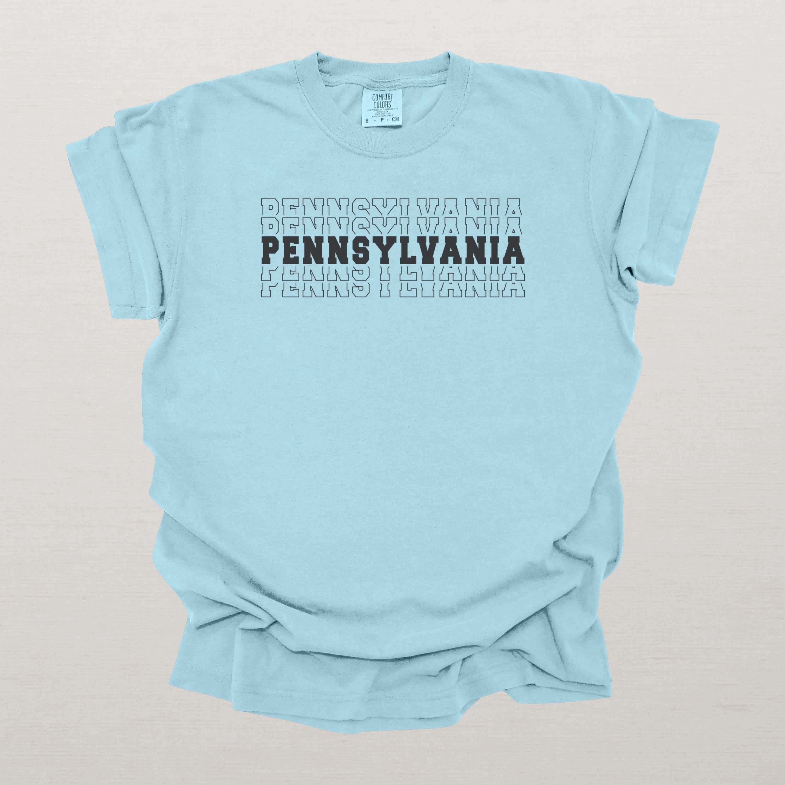 Pennsylvania Varsity Echo State Shirt, Black Text Retro Tee, Pennsylvania AL Collegiate Shirt