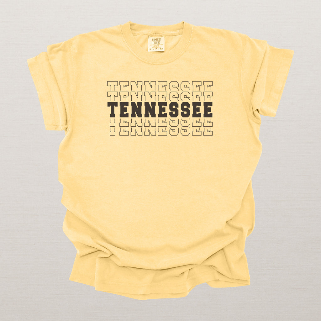 Tennessee Varsity Echo State Shirt | Comfort Colors Black Text