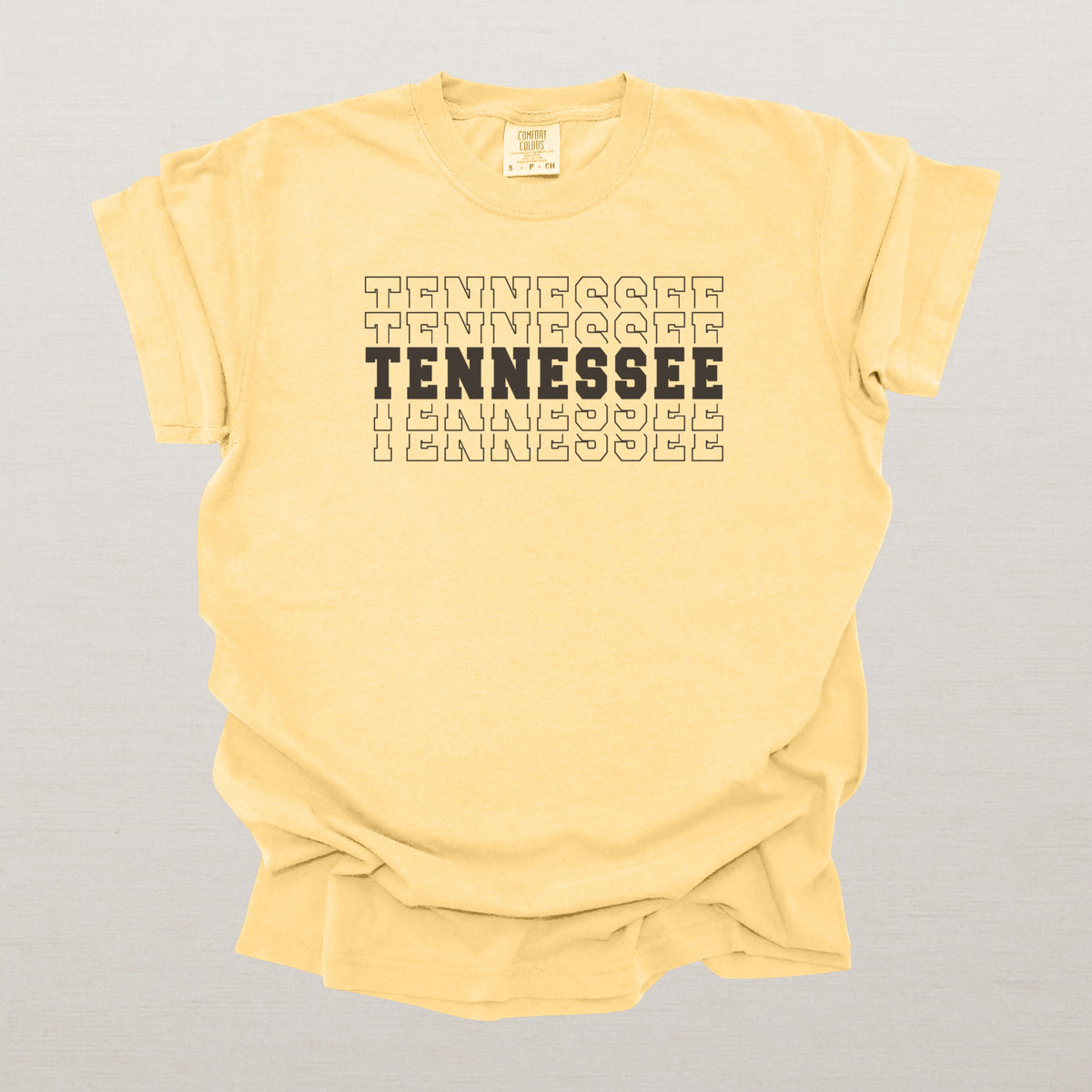 Tennessee Varsity Echo State Shirt | Comfort Colors Black Text