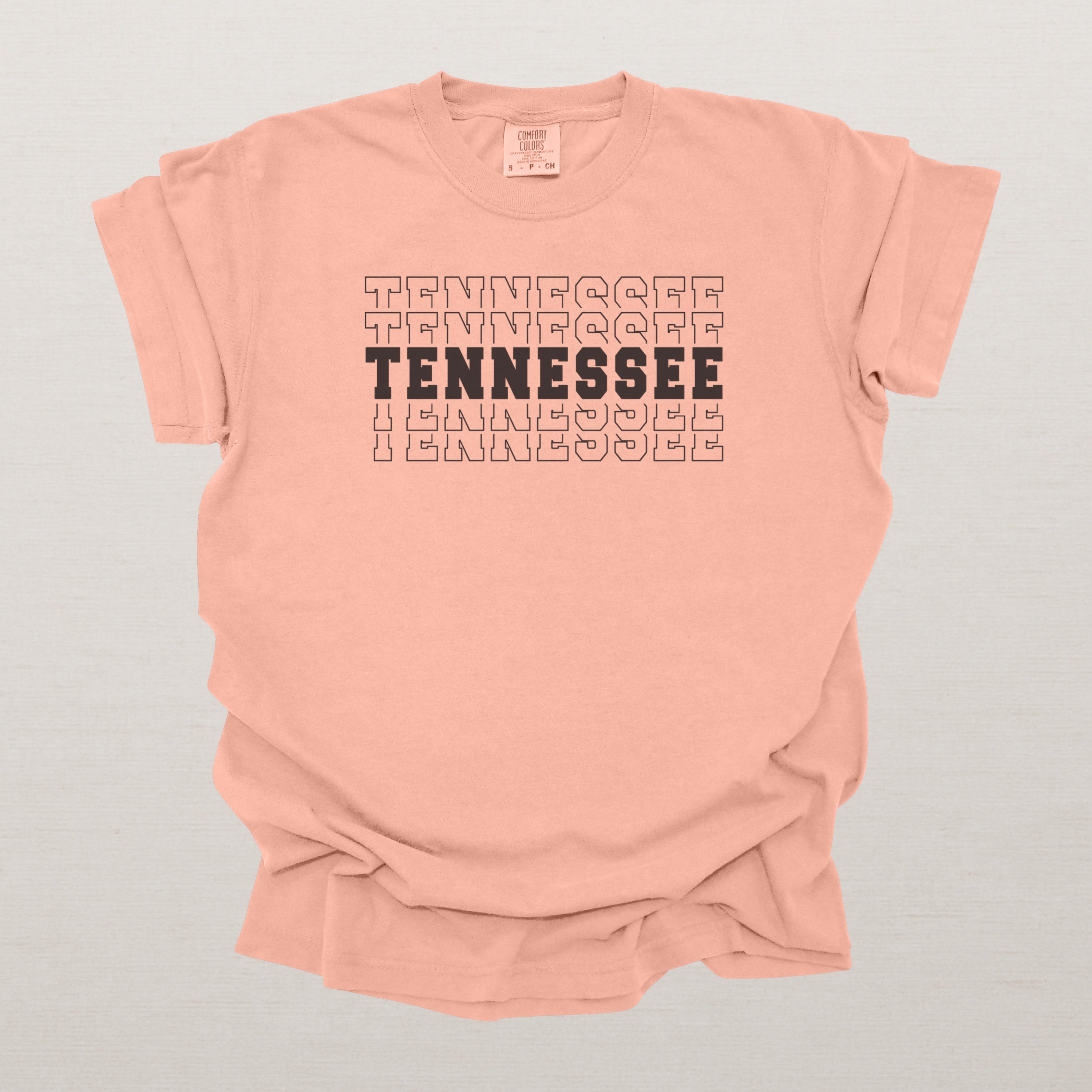 Tennessee Varsity Echo State Shirt | Comfort Colors Black Text