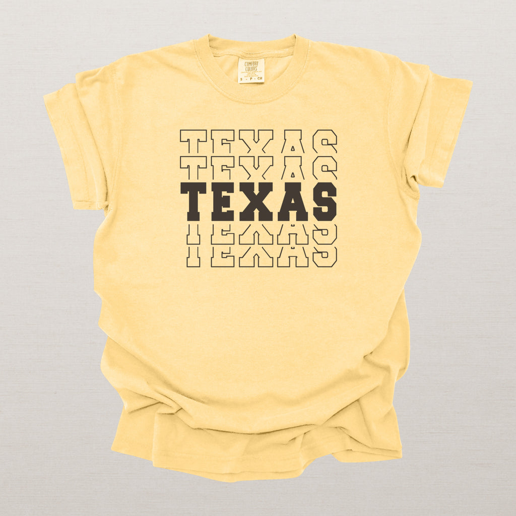 Texas Varsity Echo State Shirt | Comfort Colors Black Text