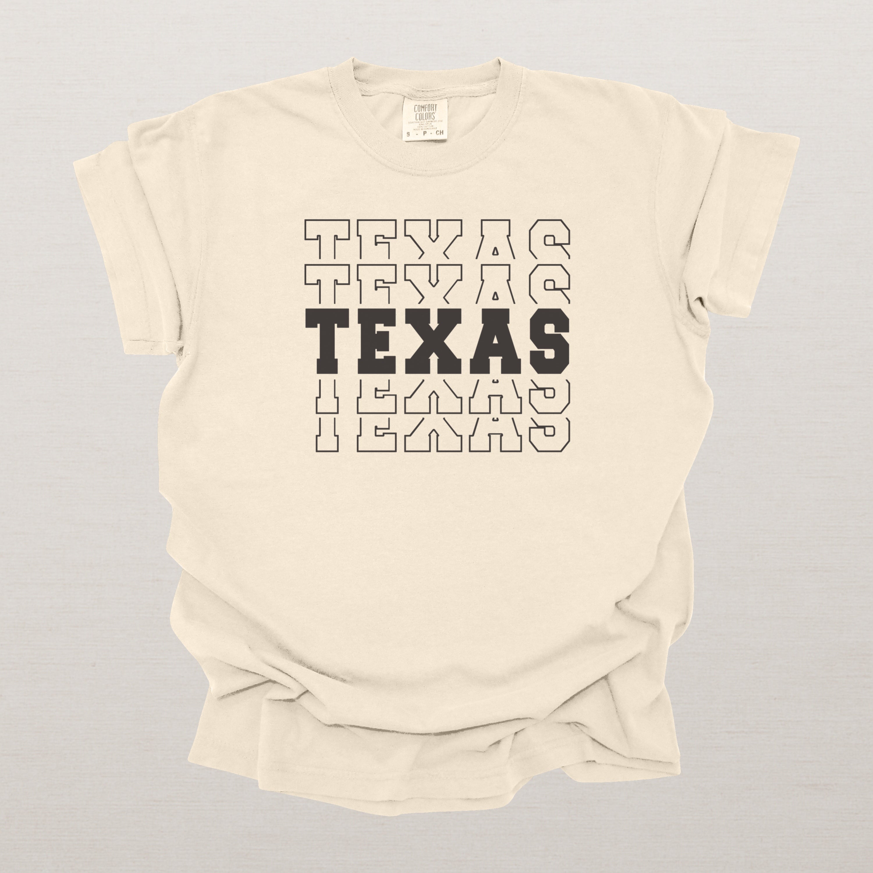 Texas Varsity Echo State Shirt | Comfort Colors Black Text