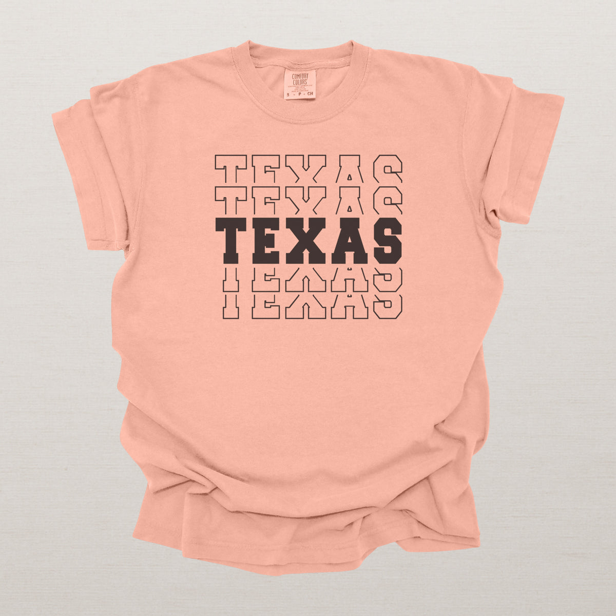 Texas Varsity Echo State Shirt | Comfort Colors Black Text