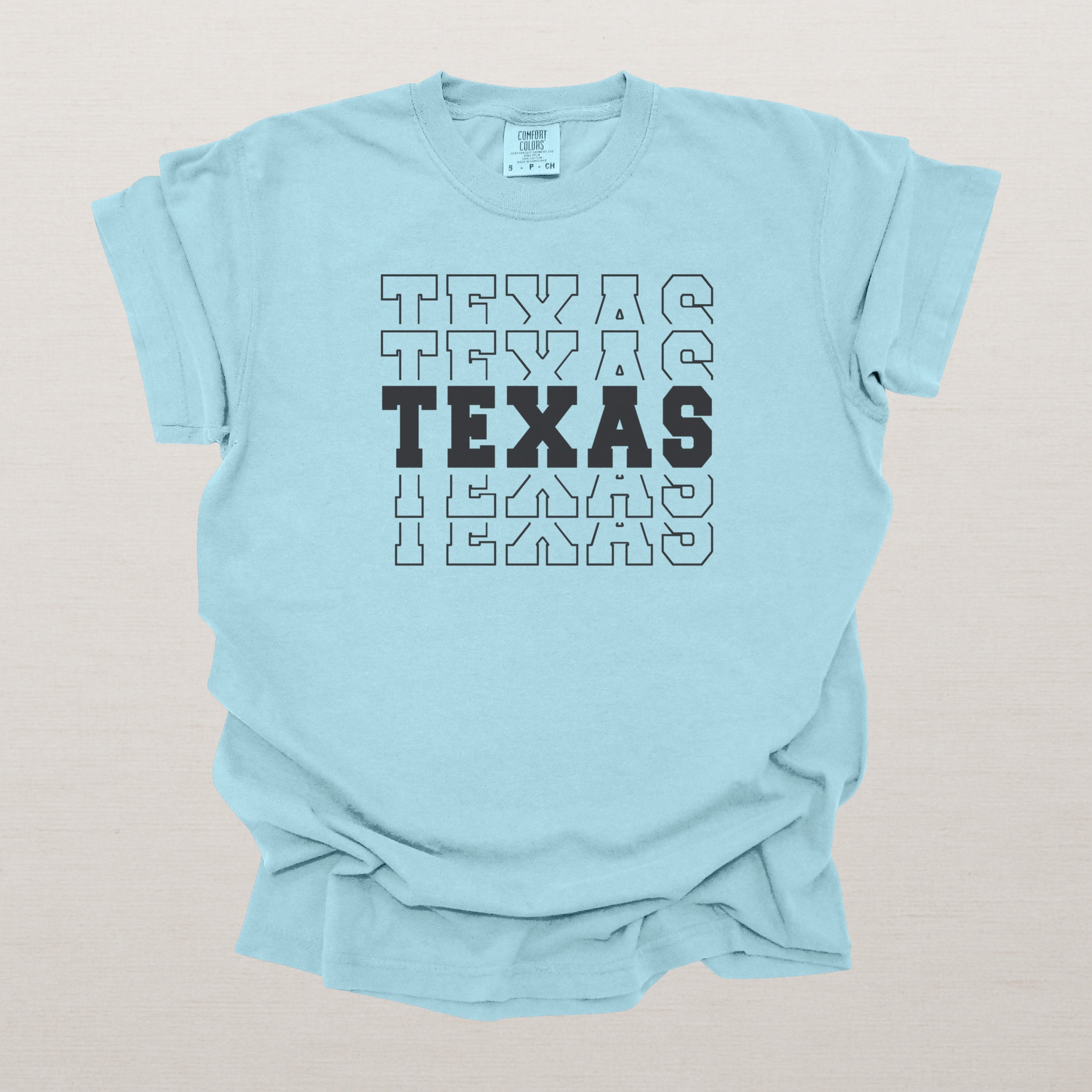 Texas Varsity Echo State Shirt | Comfort Colors Black Text