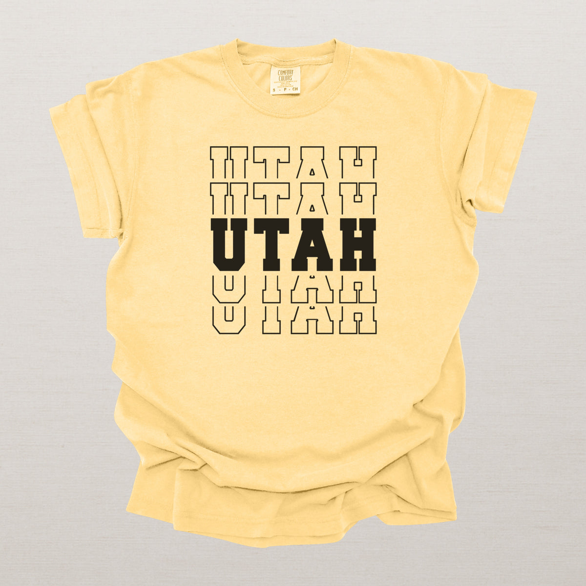 Utah Varsity Echo State Shirt | Comfort Colors Black Text