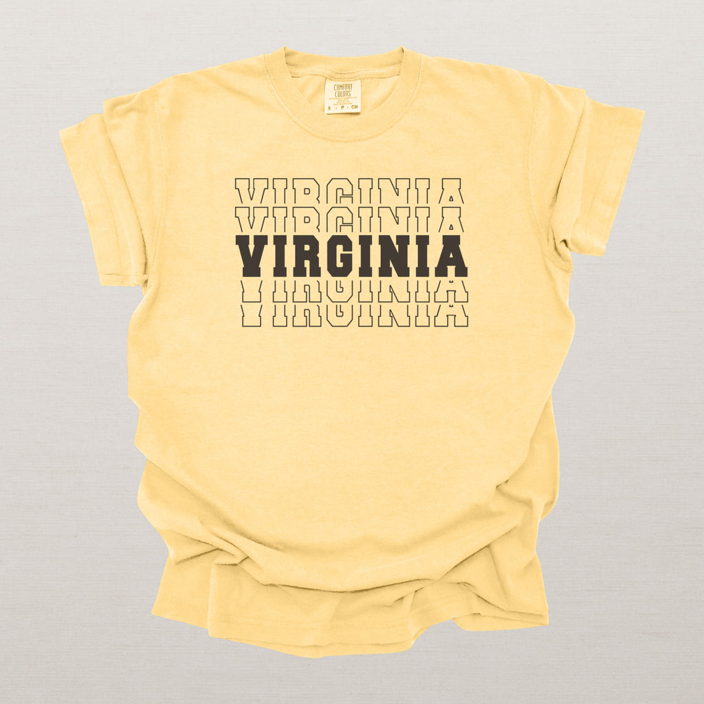 Virginia Varsity Echo State Shirt | Comfort Colors Black Text