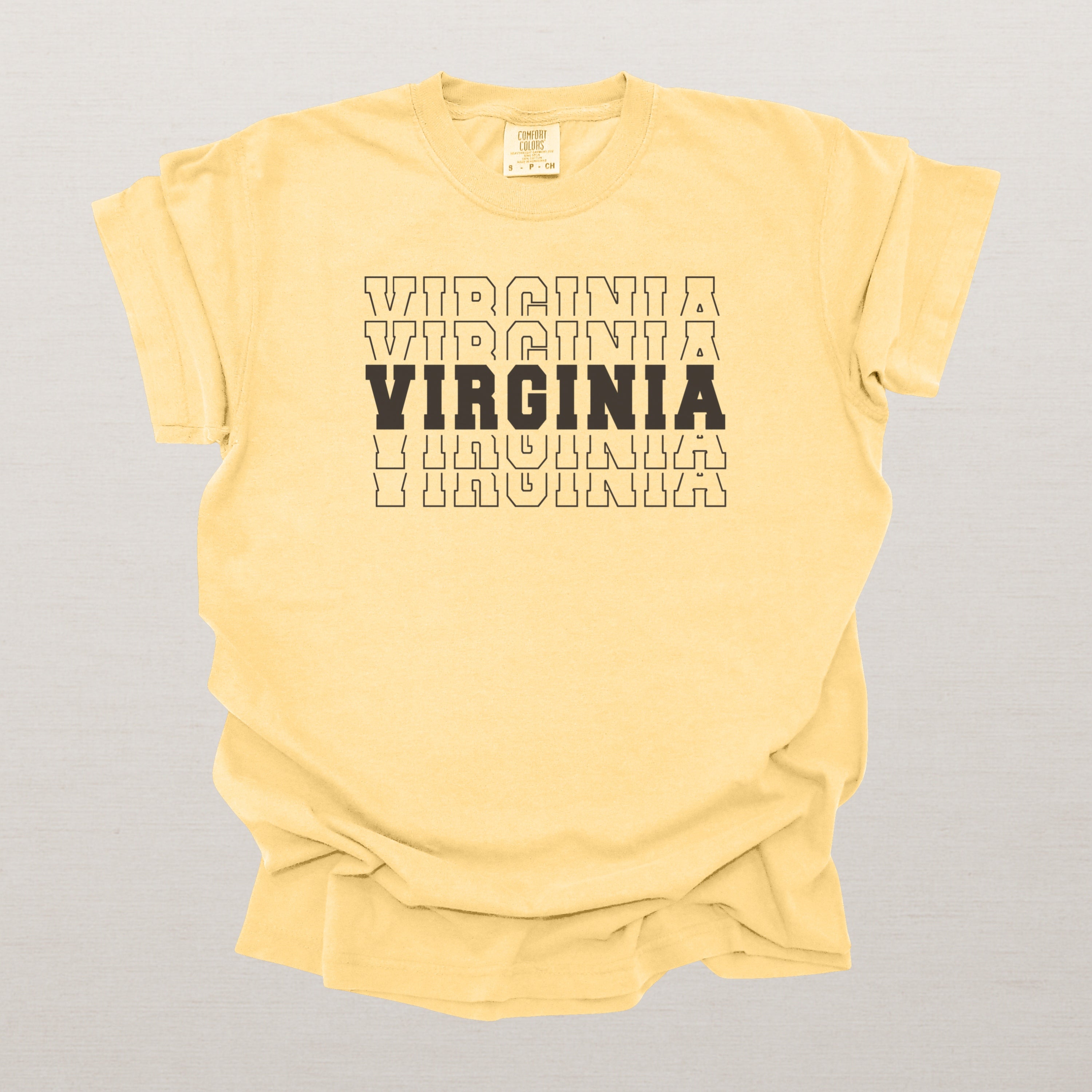 Virginia Varsity Echo State Shirt | Comfort Colors Black Text