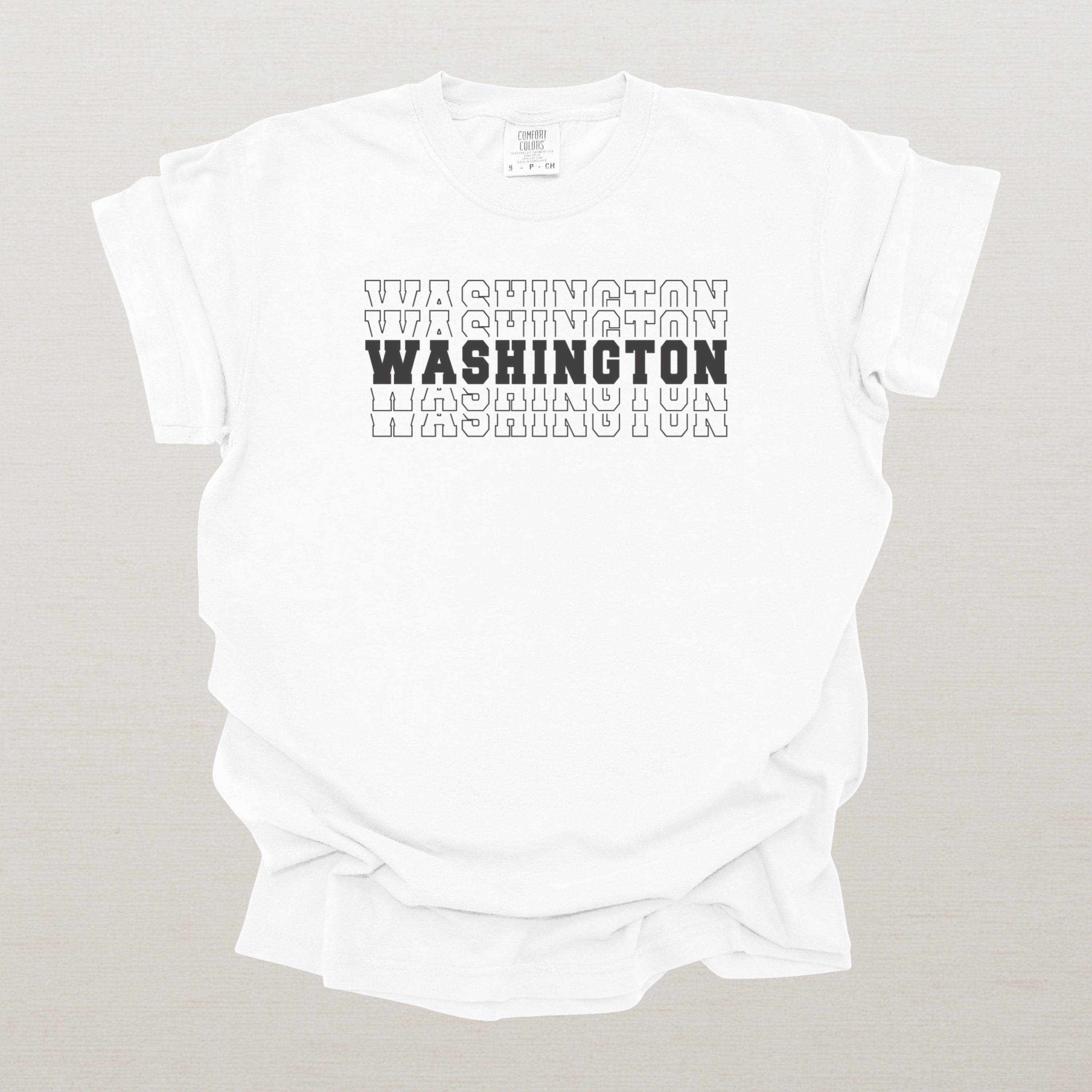 Washington Varsity Echo State Shirt | Comfort Colors Black Text