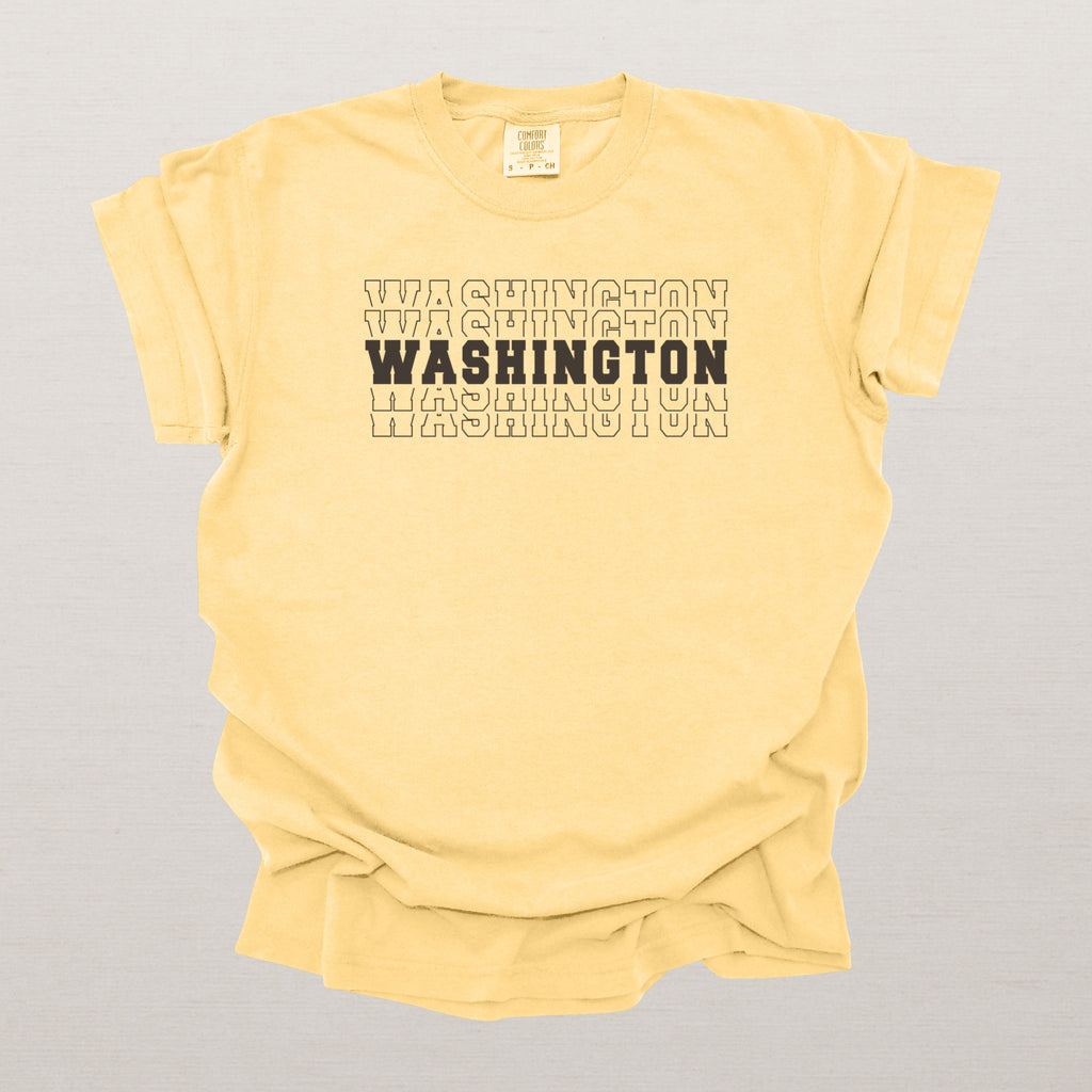 Washington Varsity Echo State Shirt | Comfort Colors Black Text