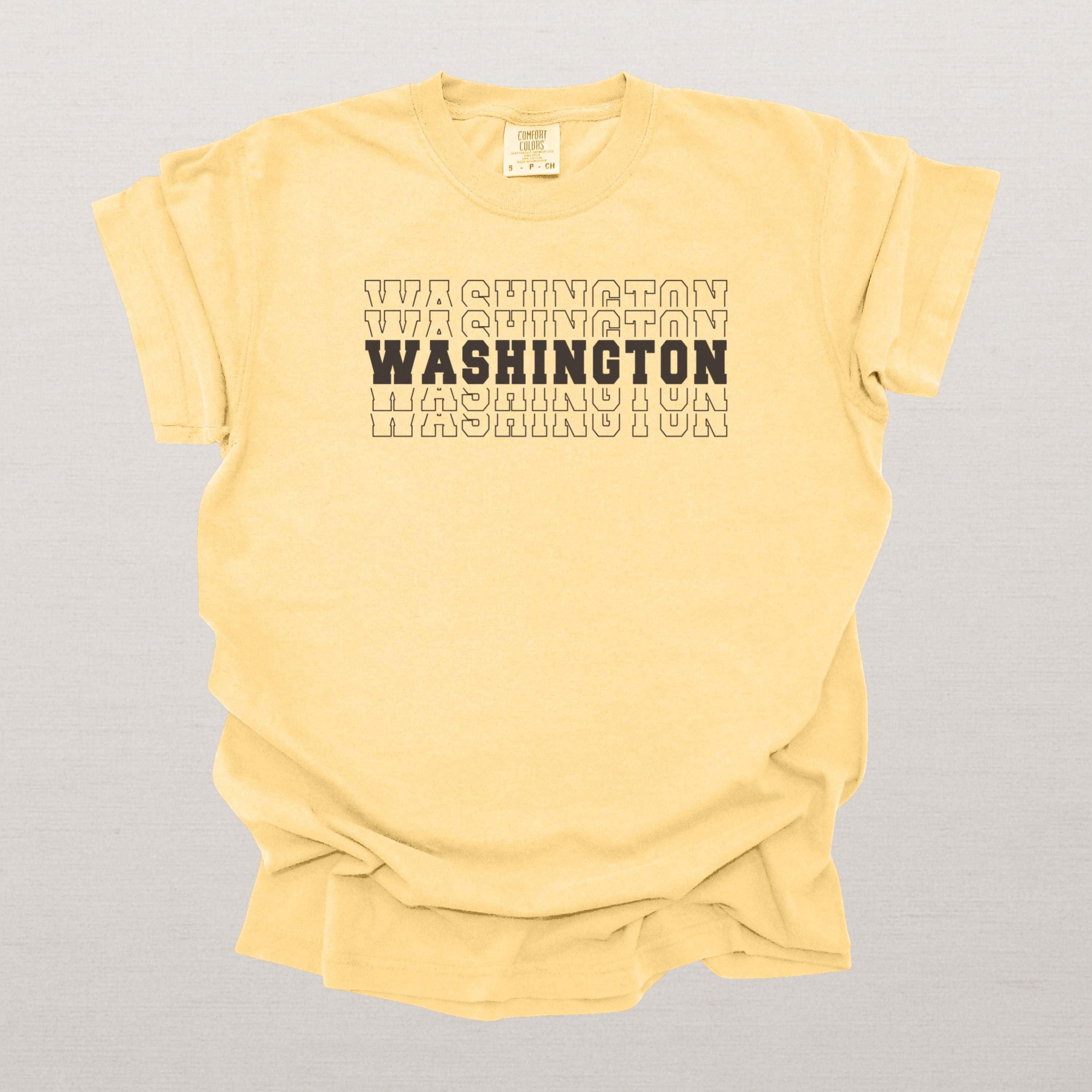 Washington Varsity Echo State Shirt | Comfort Colors Black Text