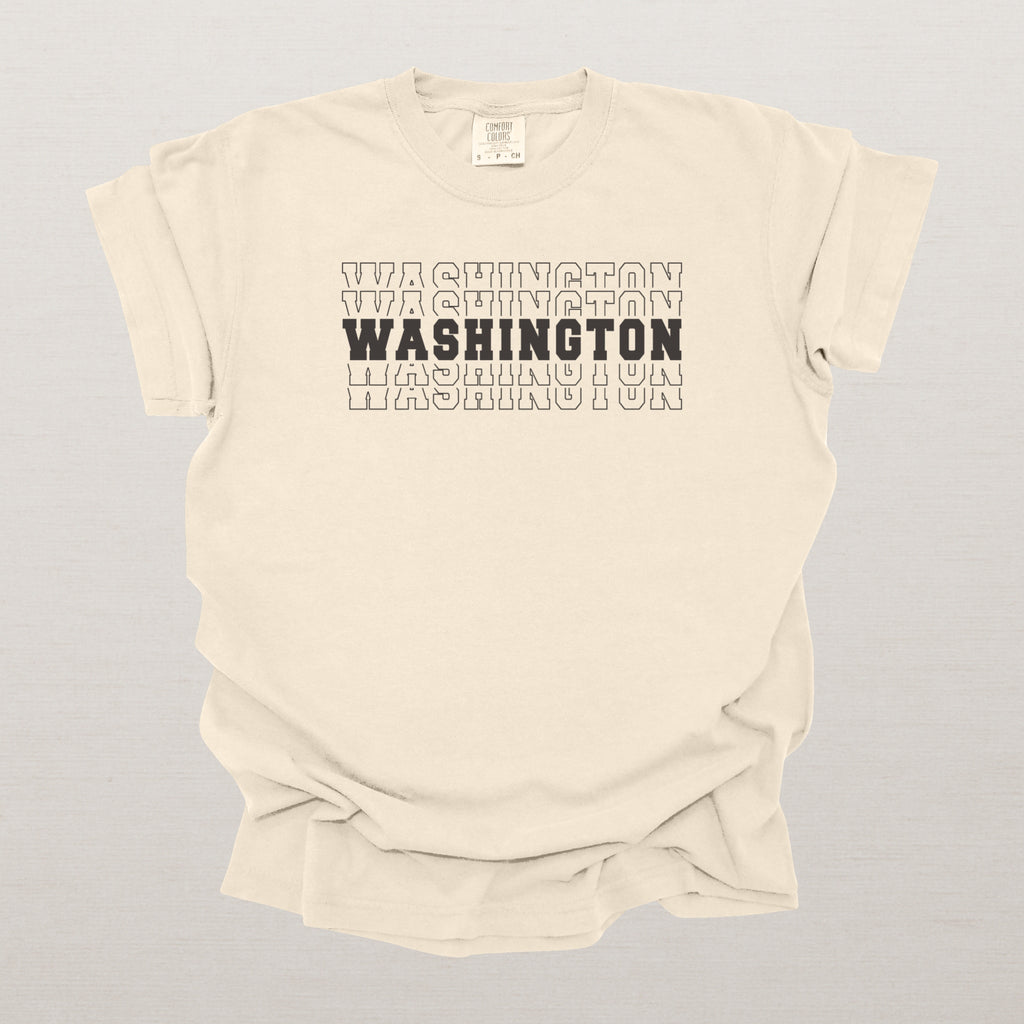 Washington Varsity Echo State Shirt | Comfort Colors Black Text