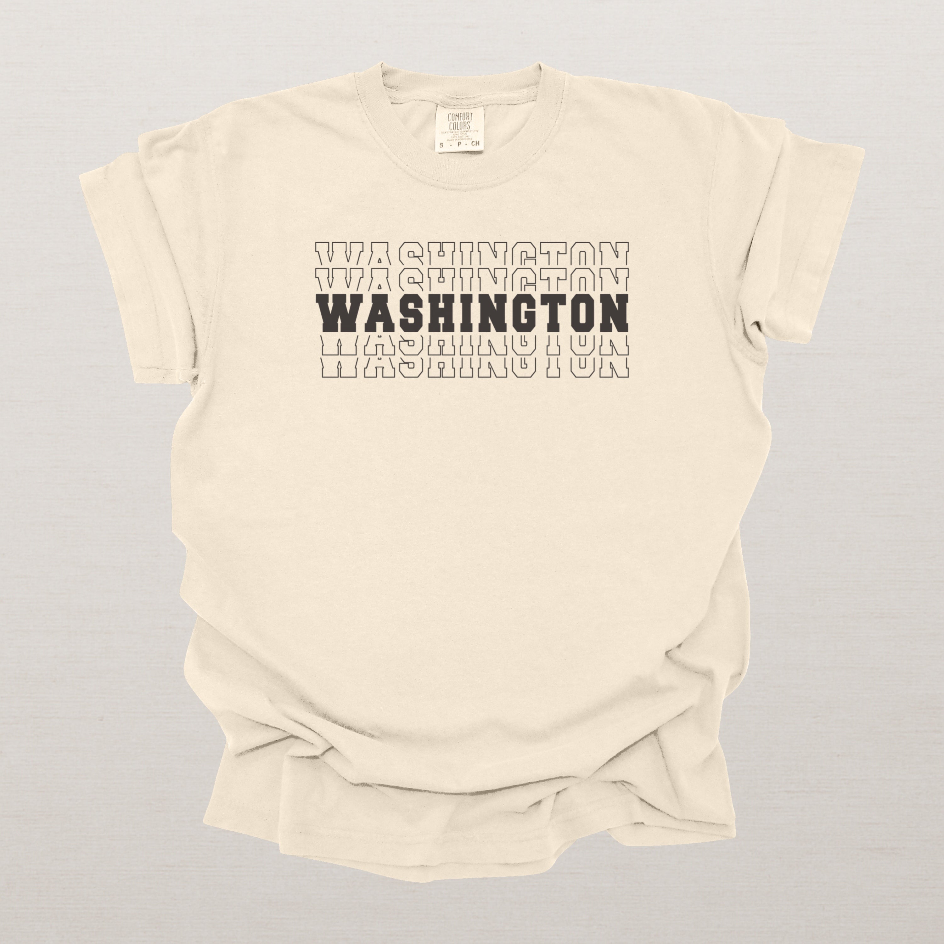 Washington Varsity Echo State Shirt | Comfort Colors Black Text