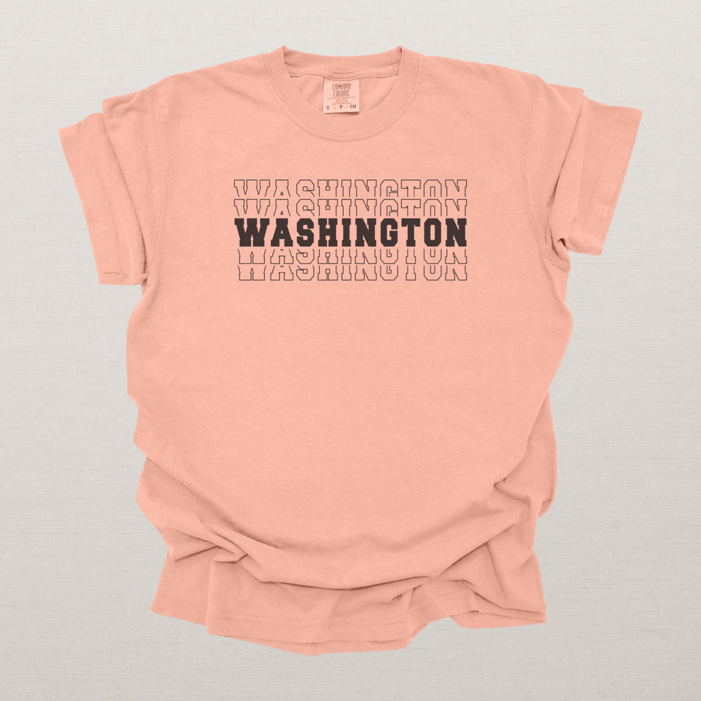 Washington Varsity Echo State Shirt | Comfort Colors Black Text
