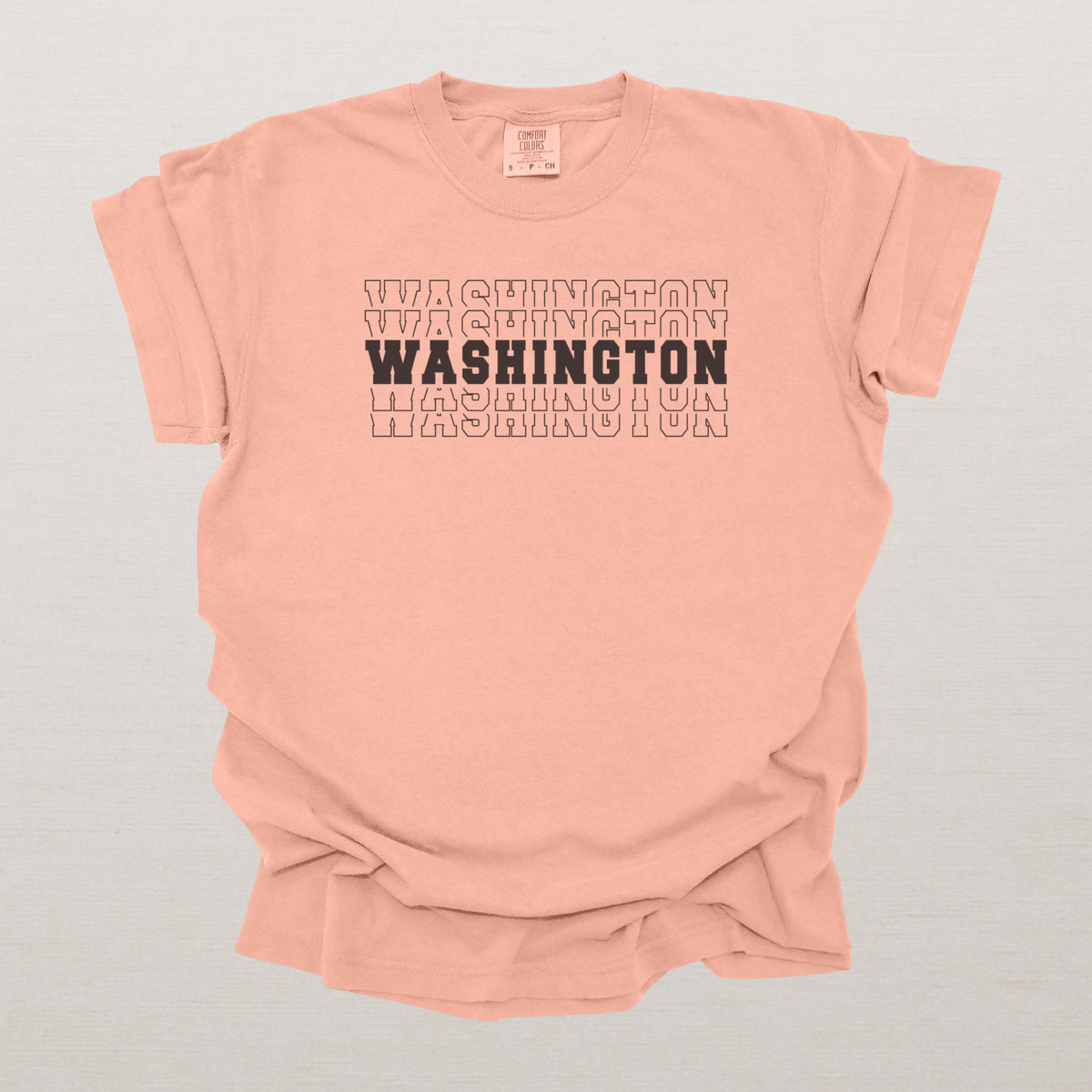 Washington Varsity Echo State Shirt | Comfort Colors Black Text