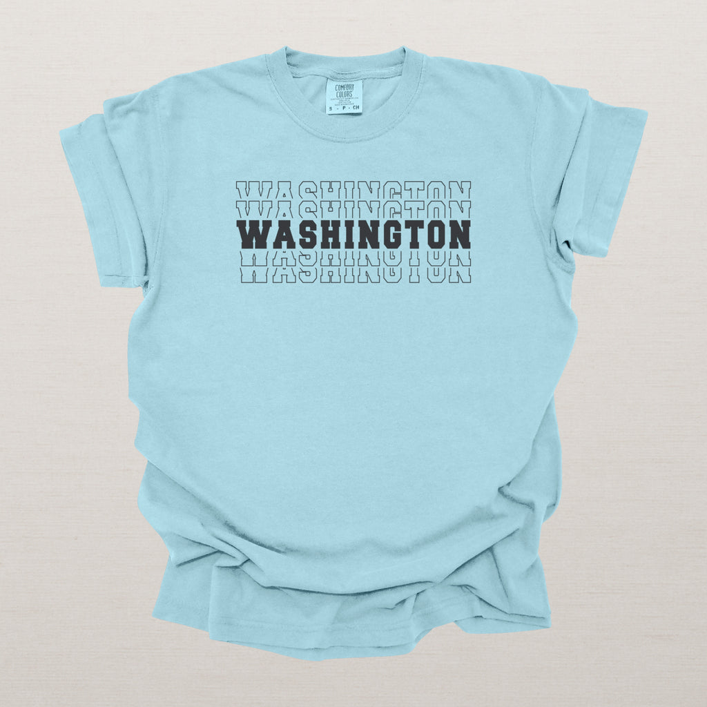 Washington Varsity Echo State Shirt | Comfort Colors Black Text