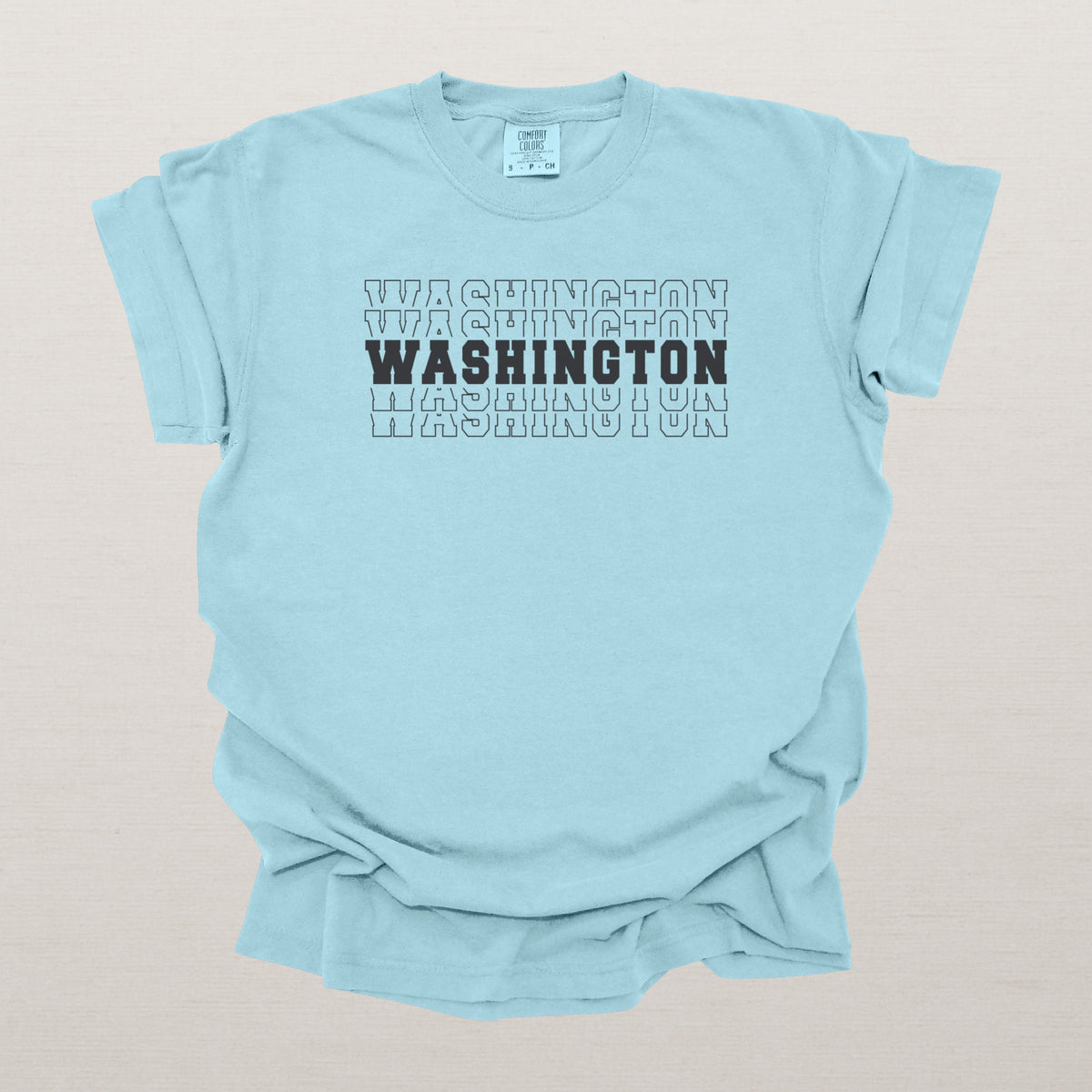 Washington Varsity Echo State Shirt | Comfort Colors Black Text
