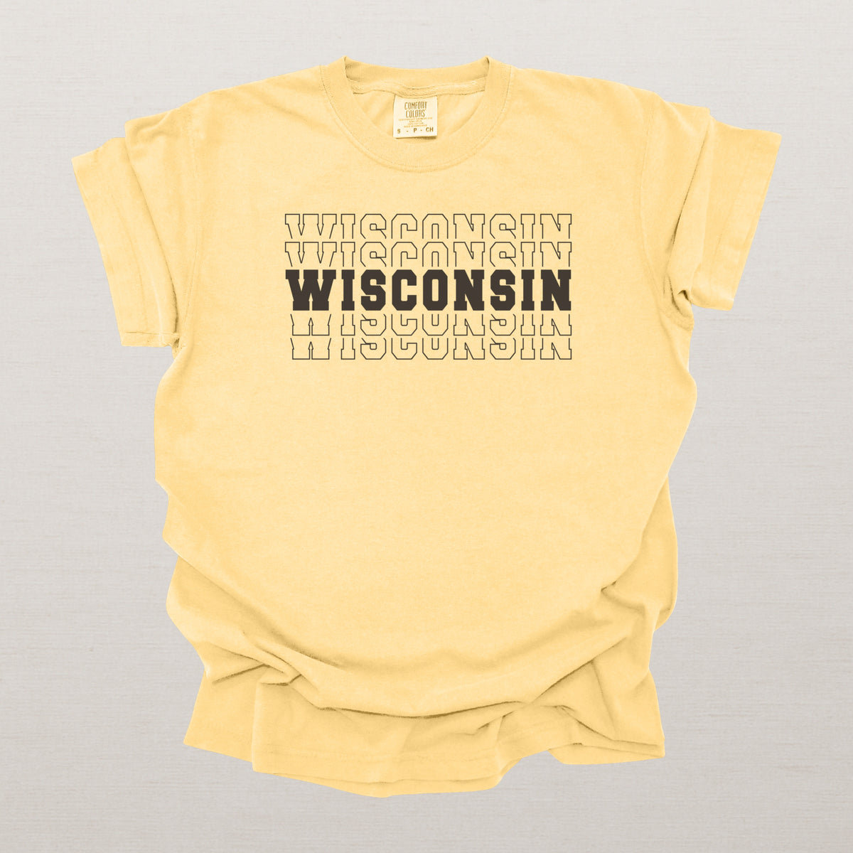 Wisconsin Varsity Echo State Shirt | Comfort Colors Black Text