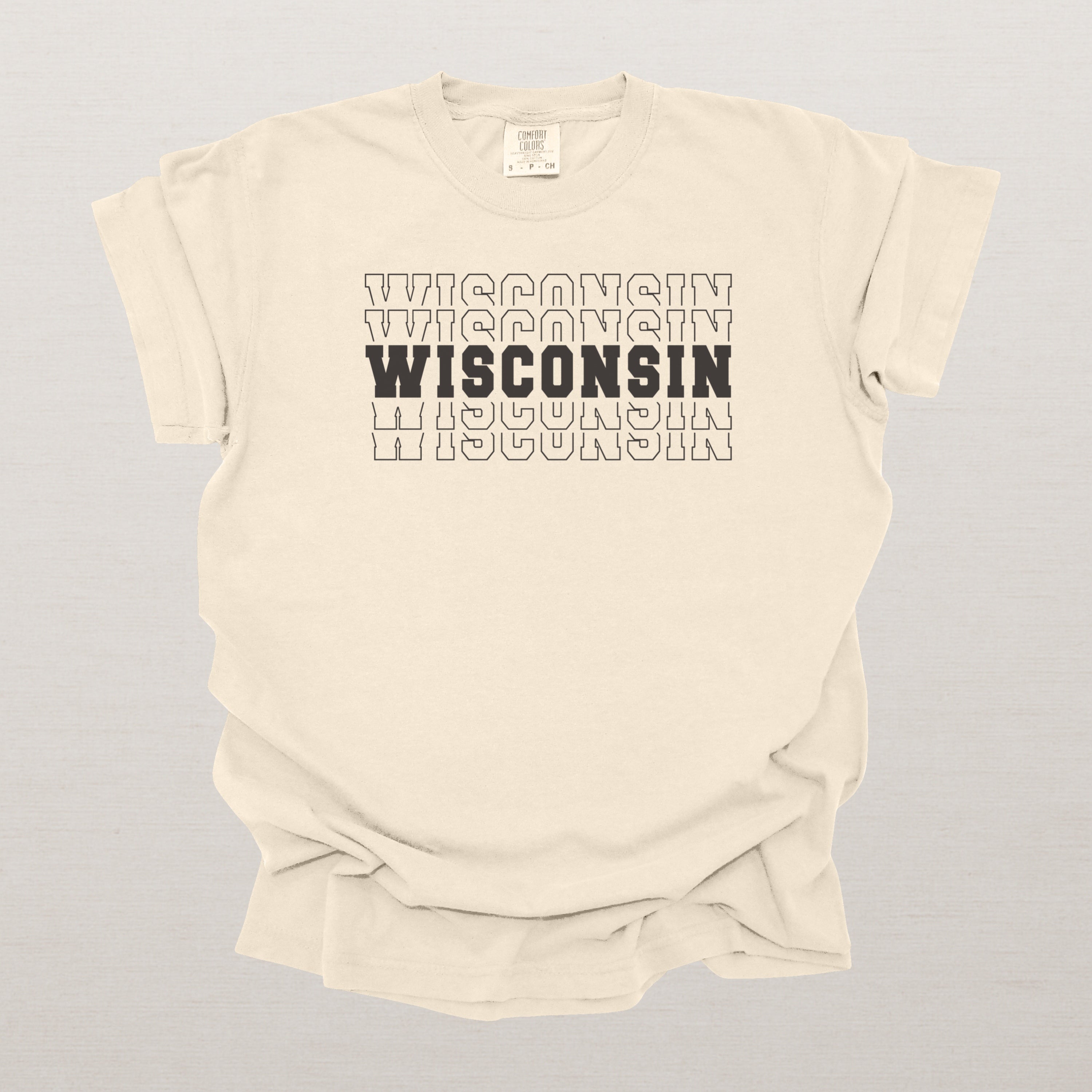 Wisconsin Varsity Echo State Shirt | Comfort Colors Black Text