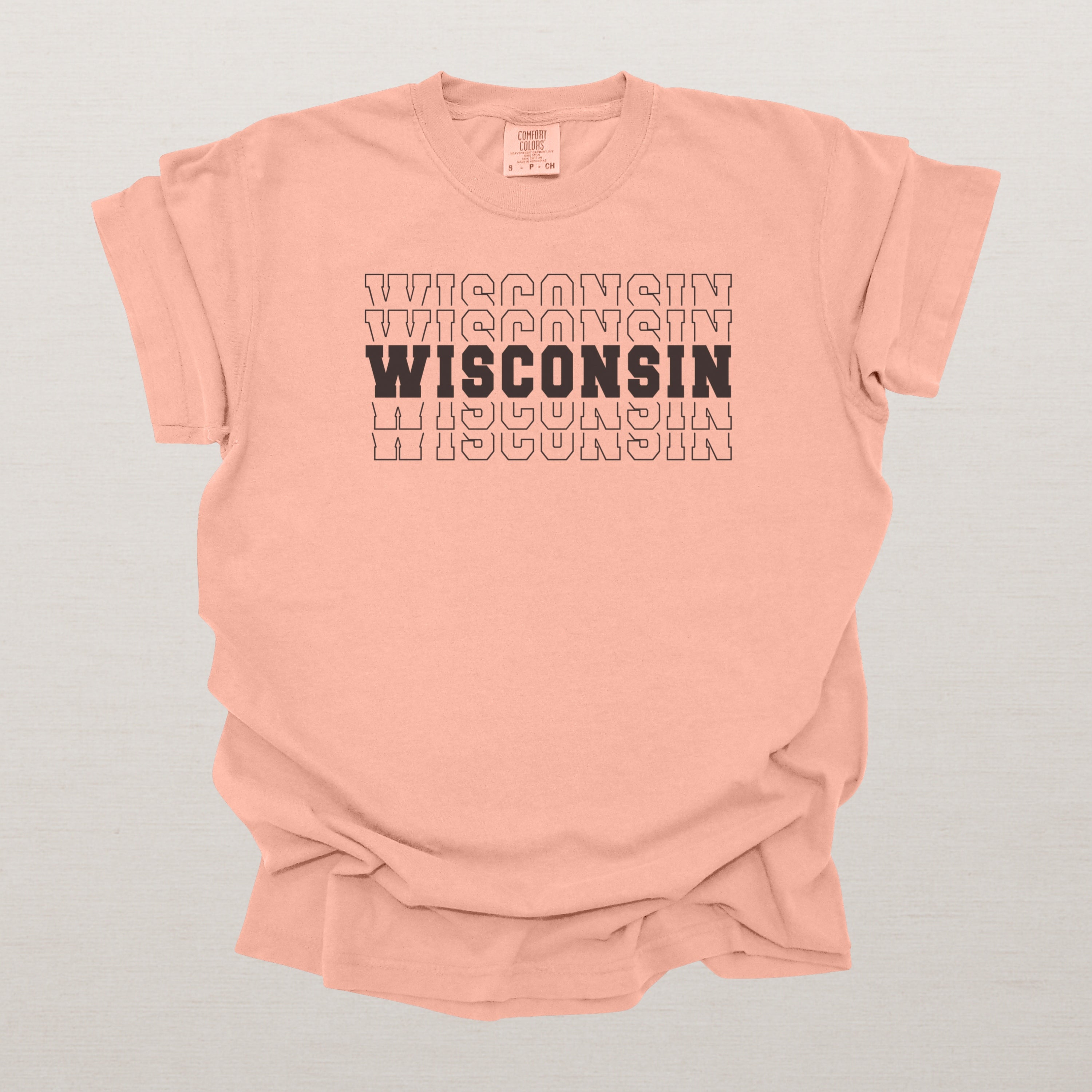 Wisconsin Varsity Echo State Shirt | Comfort Colors Black Text
