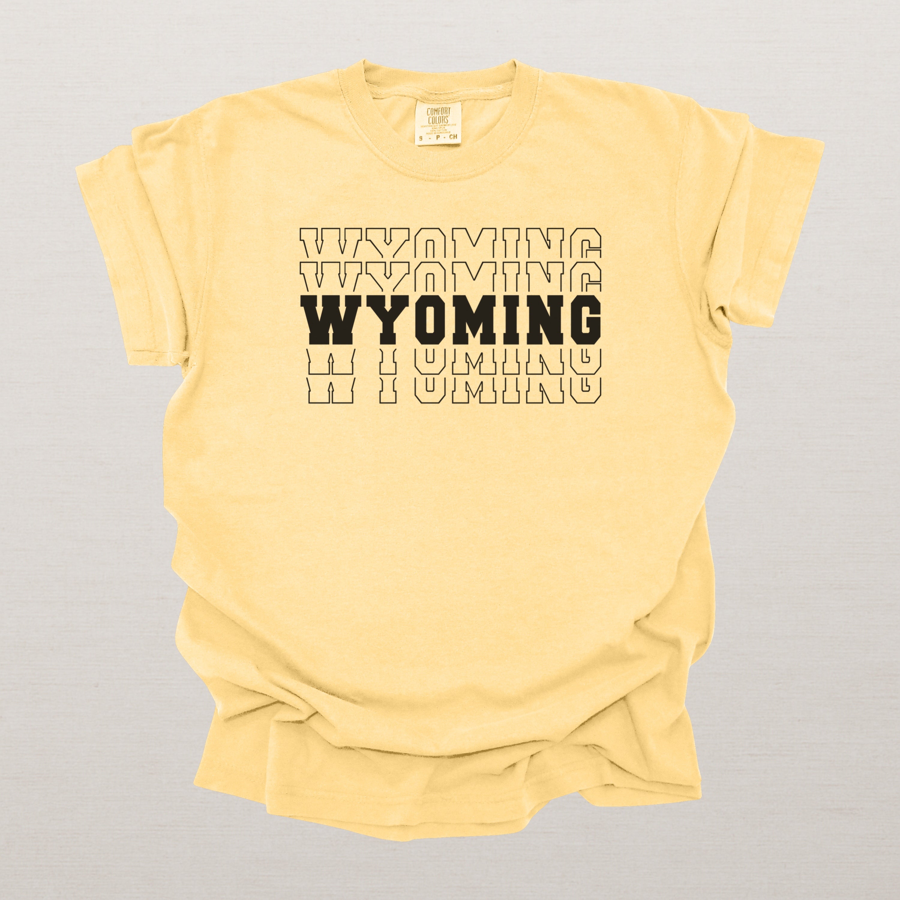 Wyoming Varsity Echo State Shirt | Comfort Colors Black Text