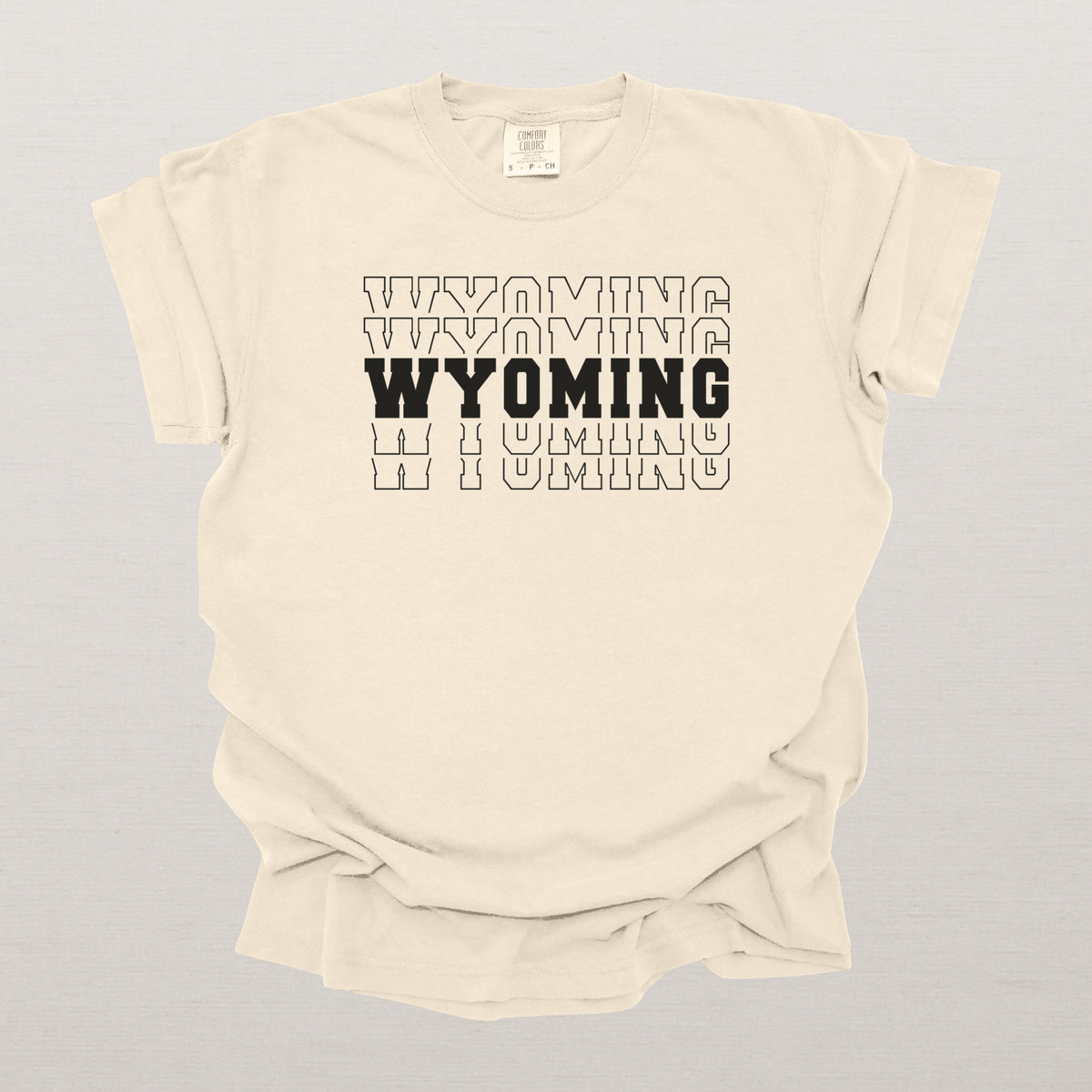 Wyoming Varsity Echo State Shirt | Comfort Colors Black Text